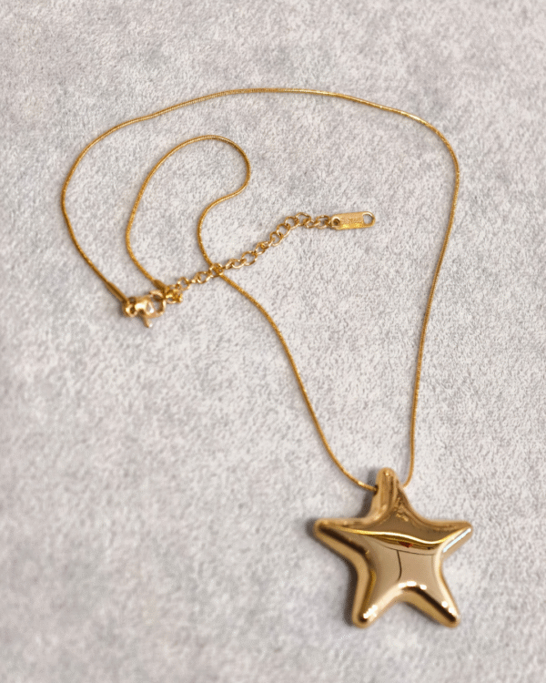 YILDIZ MODERN ÇELİK KOLYE